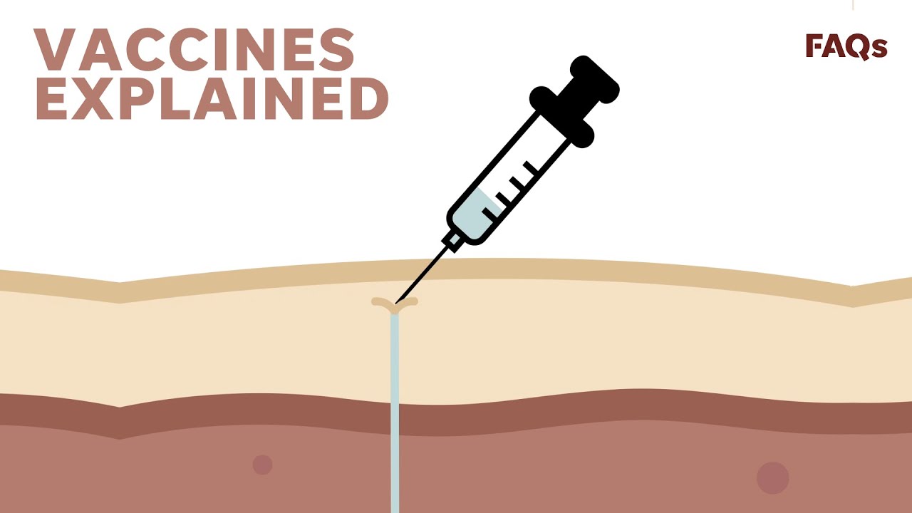 Why a vaccine for coronavirus will take longer to develop than you might think | Just The FAQs