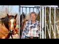 #33 Best Horse Hay Feeder Ever | At The Ranch