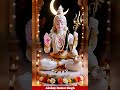 #omnamahshivaya #jai shiv shankar #viral shorts #trending video