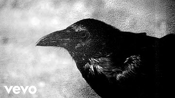 Axidra - Ravenfyre (Official Music Video)