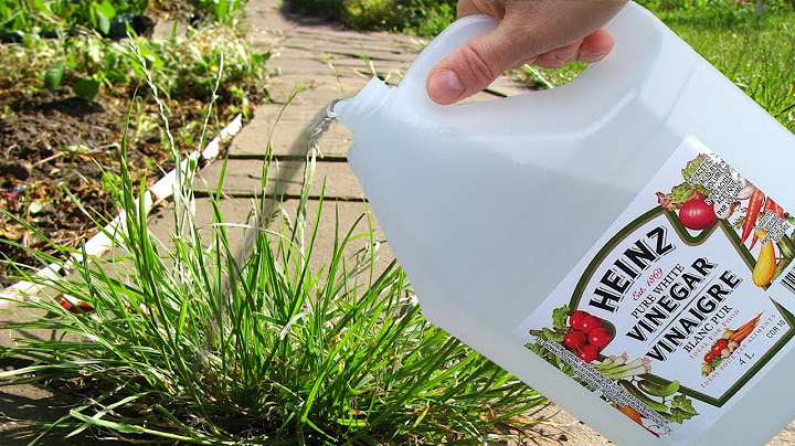 Use Vinegar In Your Garden And Watch What Happens