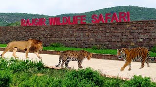 Rajgir Zoo Safari | राजगीर वन्यप्राणी सफारी | Rajgir Bihar