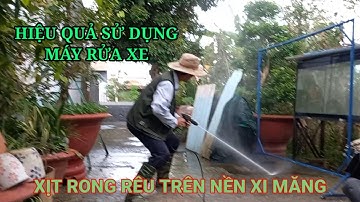 Hiệu quả sử dụng máy rửa xe để xịt rửa rong rêu trên nền xi măng