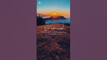 #القرآن_الكريم #تلاوة_هادئة #ياسر_الدوسري #اكسبلور #quran #تلاوة_خاشعة #عبدالرحمن_مسعد
