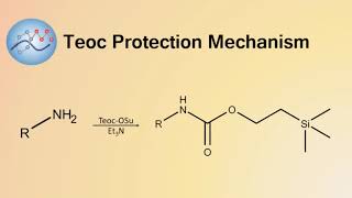 Teoc Group Protection Mechanism | Organic Chemistry