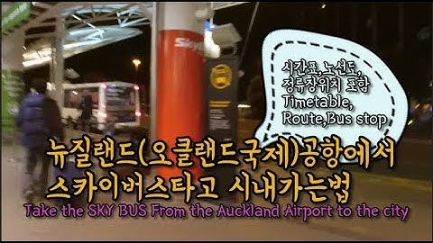여행팁 #19 뉴질랜드공항에서 스카이버스타고 시내가기 Take the SKY BUS From the Auckland Airport to the city