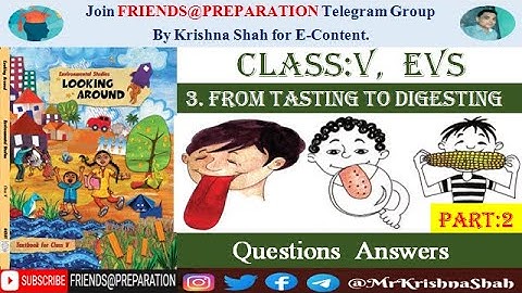 From Tasting To Digesting Chapter 3 - Part 2 | Class 5 EVS