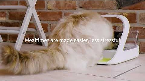 SureFeed Microchip Pet Feeder