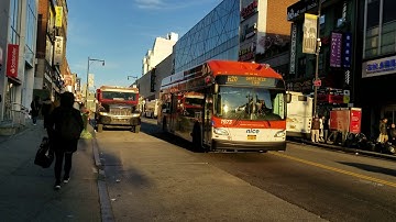 NICE bus: 2019 NFI XN40 #1973 on the N20G