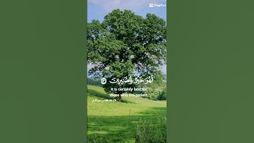 ما تيسر من القران الكريم من سورة النمل #آيات #اكسبلور #القرآن_الكريم #ايات_قرانيه_قصيره #راحة_نفسية