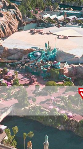 マーメイドラグーンの屋上に植えられた不可解な