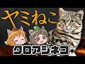 【ヤミねこ】情けなし！容赦なし！なんだか愛くるしい猛獣「クロアシネコ」