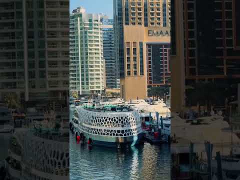 This Dubai View Will Leave You Speechless 😍🌊 | Dubai Skyline #Dubai #Shorts #DubaiSkyline #Travel