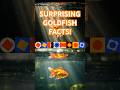 The Surprising Secrets of Goldfish