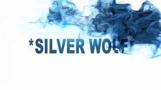 Intro del canal (*silver wolf*)