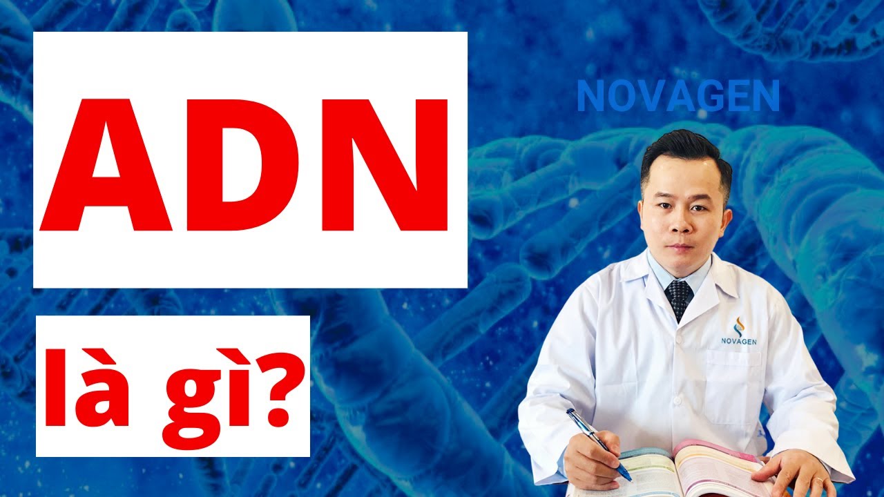 2. ADN là gì? Đặc điểm Cấu tạo, Cấu trúc không gian và Chức năng của ADN| Dr Hoàng NOVAGEN - youtube