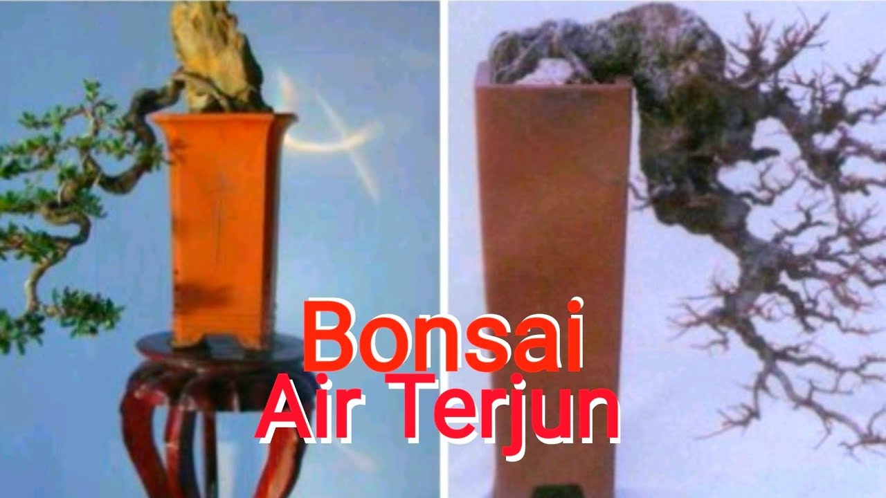 CASADE Bonsai Air Terjun - YouTube