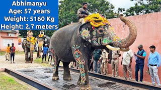 ದಸರ ಆನೆಗಳ ತೂಕ ಎಷ್ಟು ಅಂತ ನೋಡೋಣ Abhimanyu heaviest. Weight Checking of Mysuru Dasara 2023 Elephants