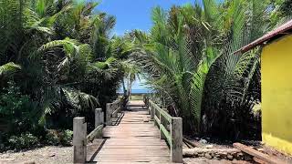 Download Lagu Kairatu Negeri yang Tumbuh dari Legenda MP3