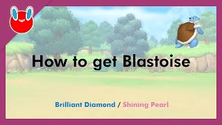 How to get Blastoise in Pokémon Brilliant Diamond & Shining Pearl [#009]