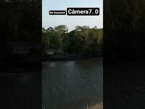 Curva do rio Remanso! Arribanceira #naturezasurpreendente #sitio #vidanaroça