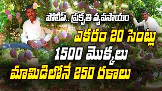 పోలీస్.. రైతు.. Import #Fruits #Farming | Ramanjaneyulu  #250 #mango variety's  @Raitunestham