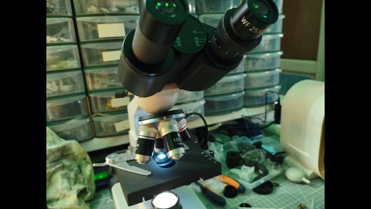 SVBONY SM201 - Болтовня, распаковка, наблюдение за первым живым существом.