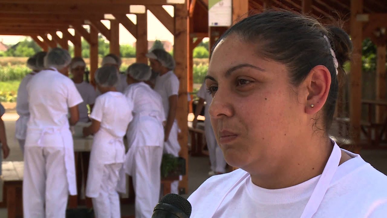 Komplex telep-program a TKKI Nyíregyházi Igazgatóságának közreműködésével 2.