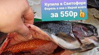 БЕГОМ в СВЕТОФОР ЗА РЫБОЙ🐟КУПИЛА ФОРЕЛЬ с ИКРОЙ/СЛАБОСОЛЕНАЯ ФОРЕЛЬ ДОМА/СОЛЮ ИКРУ/ДЕГУСТИРУЮ