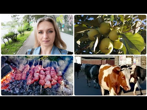 ПЕШКОМ НА РАБОТУ🤭 ВСТРЕЧА С КРАСОТКАМИ/ ЕДЕМ НА ШАШЛЫКИ/ НАША ДАЧА