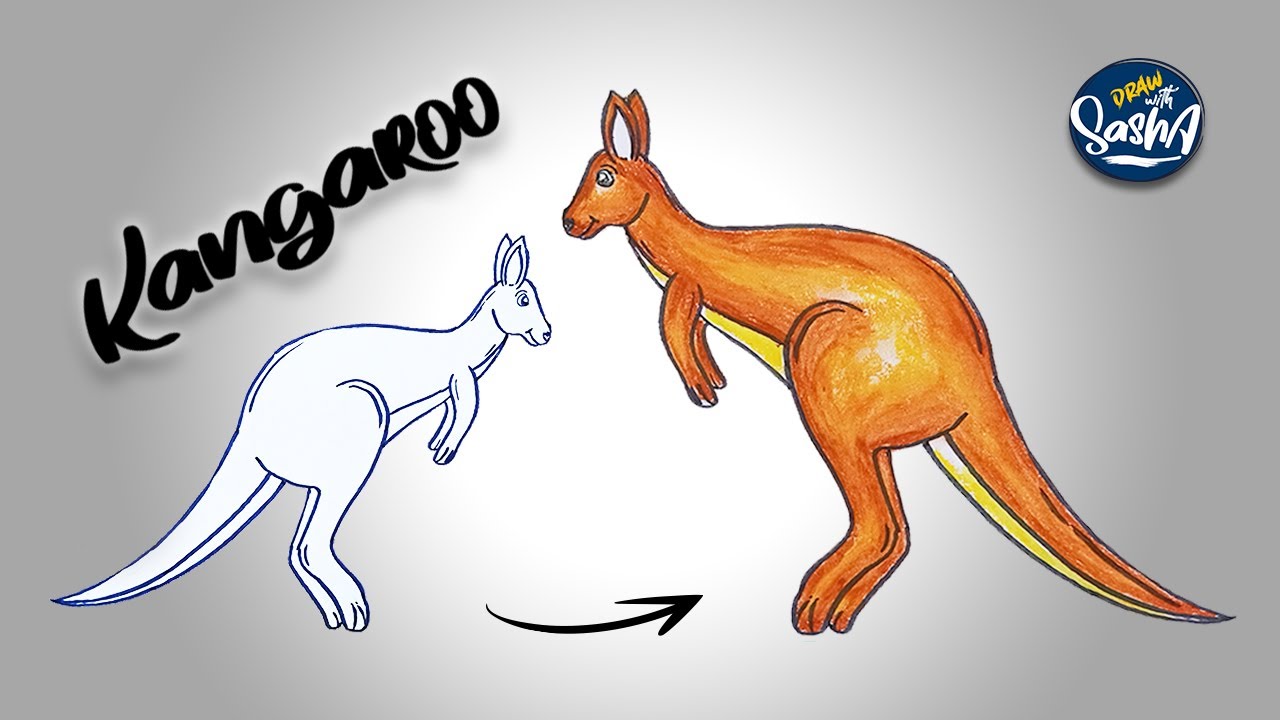 How to Draw a Cute Australian Kangaroo - Easy Drawing tutorials For Beginners
