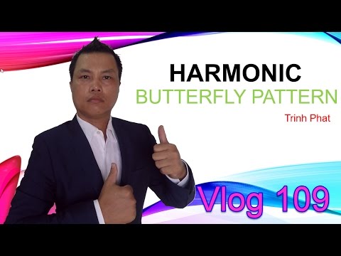 Video Mô hình Con Bướm - Harmonic Butterfly Pattern | Vlog #... - youtube