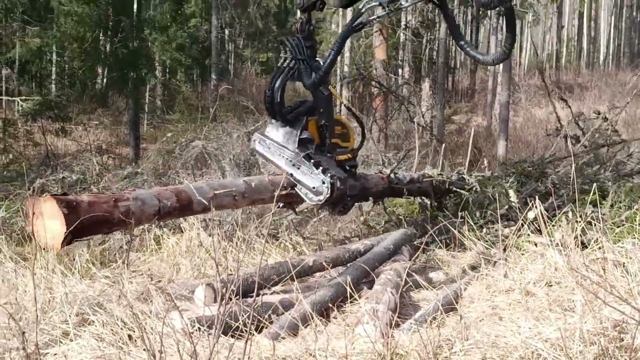 Ponsse Buffalo Dual breaking trees.