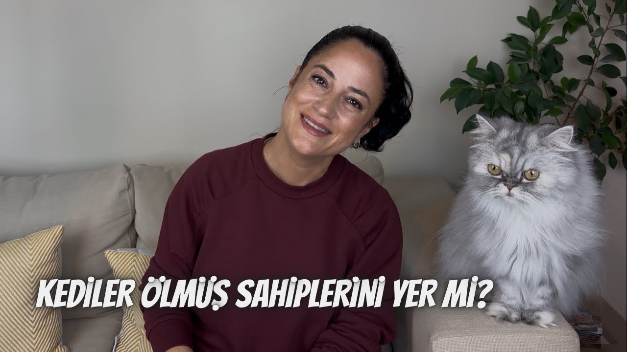 Kediler ölen sahiplerini gerçekten yer mi?