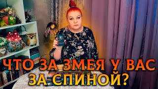 ШОК! КАКАЯ ЗМЕЯ ПРИТАИЛАСЬ У ВАС ЗА СПИНОЙ?