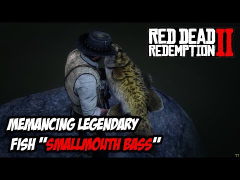 Video: Red Dead Redemption 2 Lokasi Ikan Legendaris Dan Cara Menangkapnya