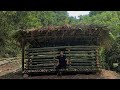 Completing the big barn for wild boar, Survival Instinct, Wilderness Alone, Ep 257
