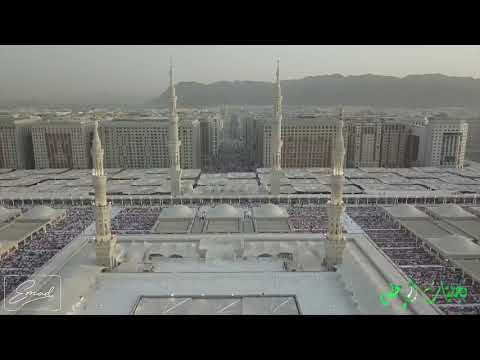 اني أحب محمد والله خير شاهد