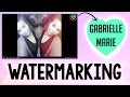 Watermarking Your Videos