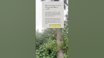 #بسم_الله_الرحمن_الرحيم #اللهم_صل_وسلم_على_نبينا_محمد #جمعه_مباركه #سورة_الكهف #اذكارالصباح #edit