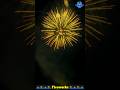 Fireworks | Atosh Baji | Patakha #shorts #fireworks #halercm