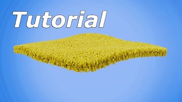 How to Model and Animate a Lipid Membrane