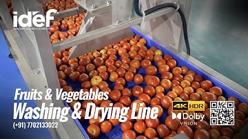 Fruits & Vegetables Washing and Drying Line, Tomato Washing Line, IDEF