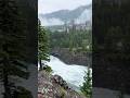 Relaxing Rain Ambience - It is Raining in Banff Canada