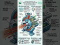 How an expeller seal really works. #centrifugalpump #plantmaintenance #chemicalindustry