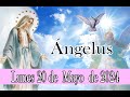 ANGELUS DE HOY LUNES 20 DE MAYO DE 2024   ORACION DE MEDIO DIA