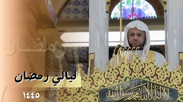 إصدار كامل لتلاوات الشيخ عبدالمحسن القاسم خلال شهر رمضان ١٤٤٥ هــ من المسجد النبوي
