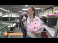 Hyres  le plus grand march aux fleurs de france  tlmatin  fentre sur les rgions  france 2