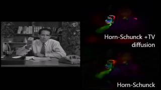 Horn Schunck with TV diffusion smoothness term VS Horn Schunck  Optical Flow