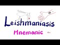 Leishmania Mnemonic (Leishmaniasis, Protozoa, Female Sandfly Vector) | Mnemonics Playlist